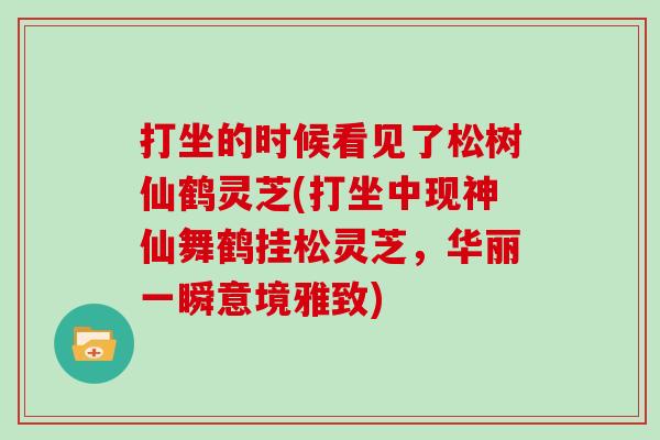 打坐的时候看见了松树仙鹤灵芝(打坐中现神仙舞鹤挂松灵芝，华丽一瞬意境雅致)