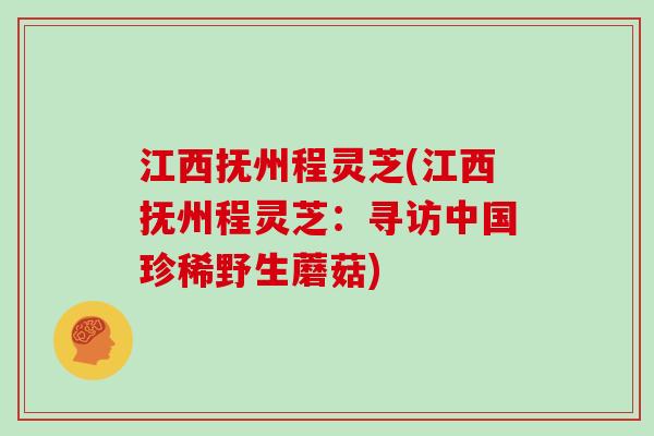 江西抚州程灵芝(江西抚州程灵芝:寻访中国珍稀野生蘑菇)