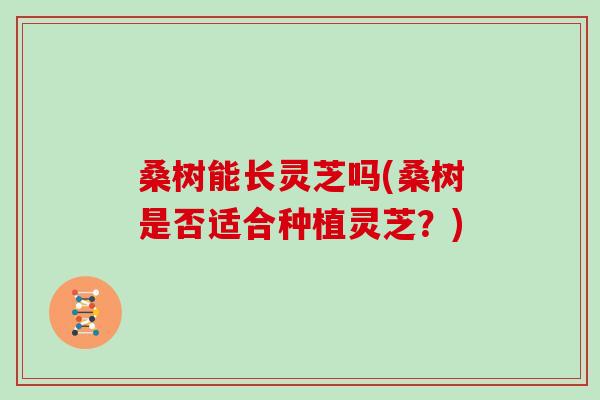 桑树能长灵芝吗(桑树是否适合种植灵芝?)
