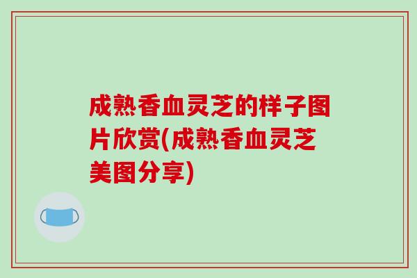 成熟香血灵芝的样子图片欣赏(成熟香血灵芝美图分享)