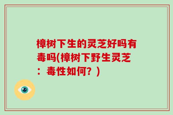 樟树下生的灵芝好吗有毒吗(樟树下野生灵芝:毒性如何?)