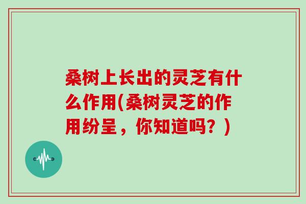 桑树上长出的灵芝有什么作用(桑树灵芝的作用纷呈,你知道吗?)