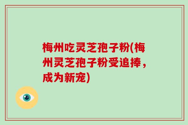 梅州吃灵芝孢子粉(梅州灵芝孢子粉受追捧,成为新宠)
