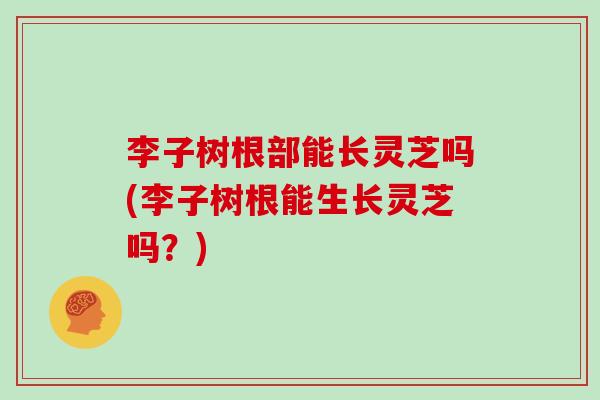 李子树根部能长灵芝吗(李子树根能生长灵芝吗?)