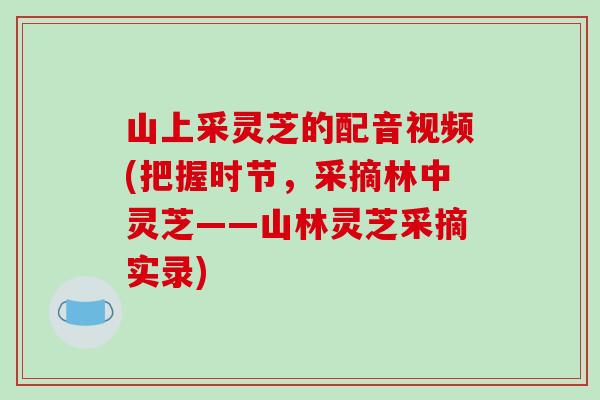 山上采灵芝的配音视频(把握时节,采摘林中灵芝——山林灵芝采摘实录)