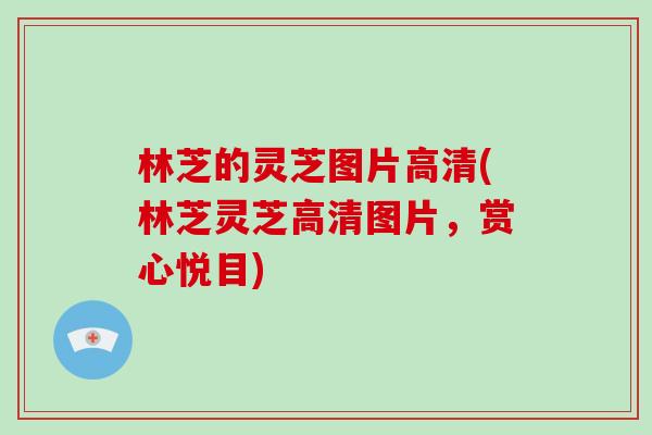 林芝的灵芝图片高清(林芝灵芝高清图片,赏心悦目)