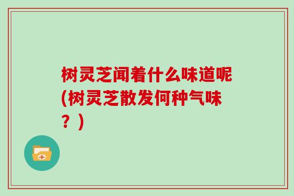 树灵芝闻着什么味道呢(树灵芝散发何种气味？)