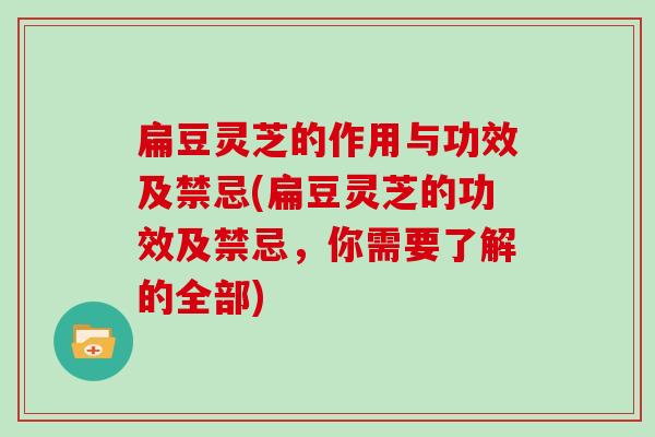 扁豆灵芝的作用与功效及禁忌(扁豆灵芝的功效及禁忌,你需要了解的全部)