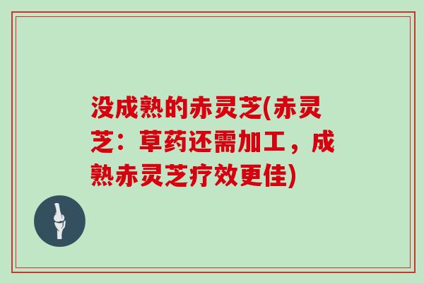 没成熟的赤灵芝(赤灵芝:草药还需加工,成熟赤灵芝疗效更佳)