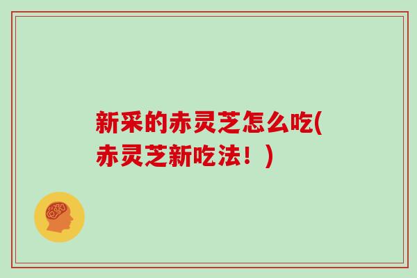 新采的赤灵芝怎么吃(赤灵芝新吃法！)