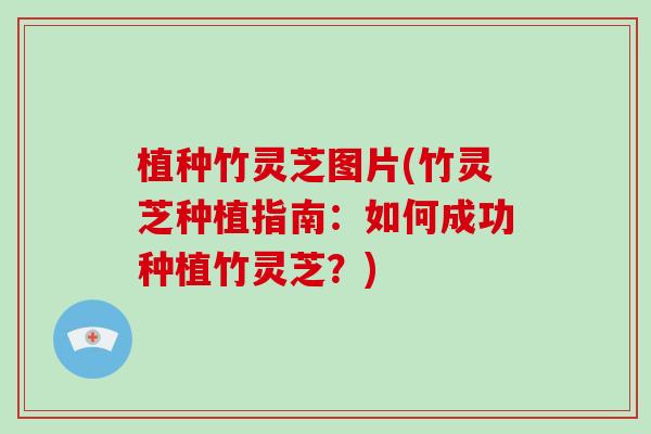 植种竹灵芝图片(竹灵芝种植指南:如何成功种植竹灵芝?)