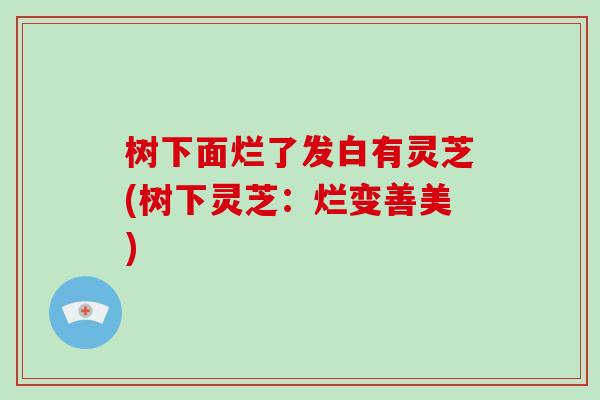 树下面烂了发白有灵芝(树下灵芝:烂变善美)