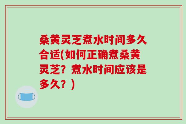 桑黄灵芝煮水时间多久合适(如何正确煮桑黄灵芝?煮水时间应该是多久?)