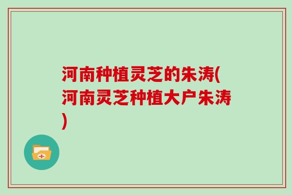 河南种植灵芝的朱涛(河南灵芝种植大户朱涛)