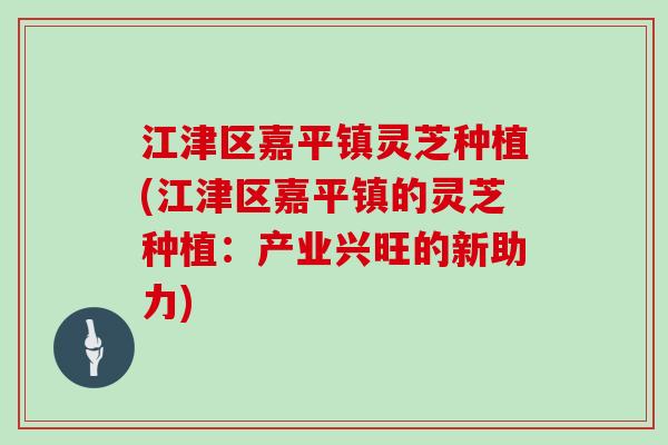 江津区嘉平镇灵芝种植(江津区嘉平镇的灵芝种植：产业兴旺的新助力)