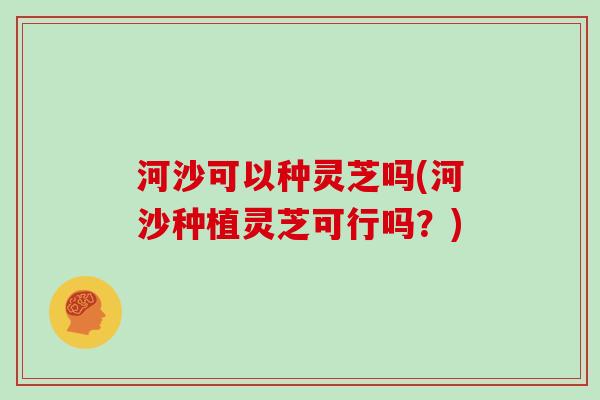河沙可以种灵芝吗(河沙种植灵芝可行吗？)