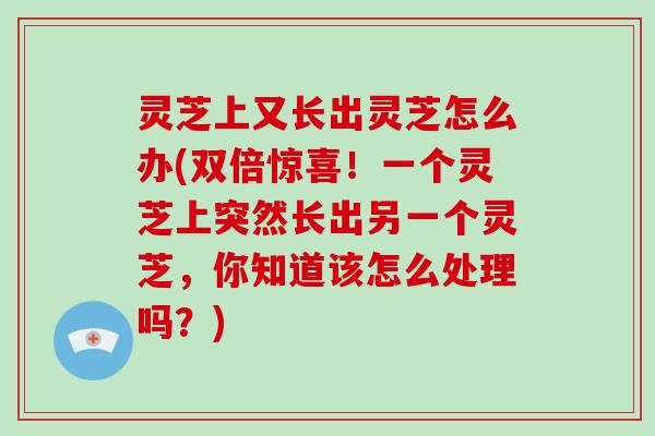 灵芝上又长出灵芝怎么办(双倍惊喜!一个灵芝上突然长出另一个灵芝,你知道该怎么处理吗?)