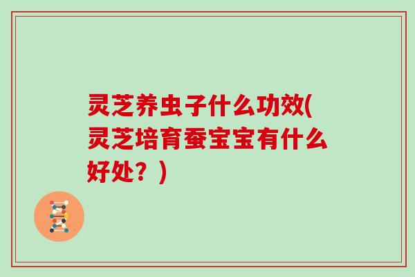 灵芝养虫子什么功效(灵芝培育蚕宝宝有什么好处?)