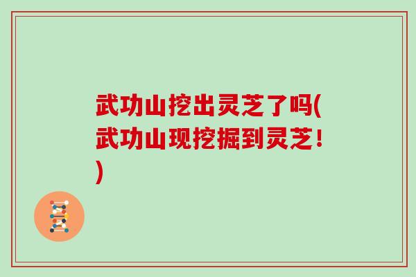 武功山挖出灵芝了吗(武功山现挖掘到灵芝!)
