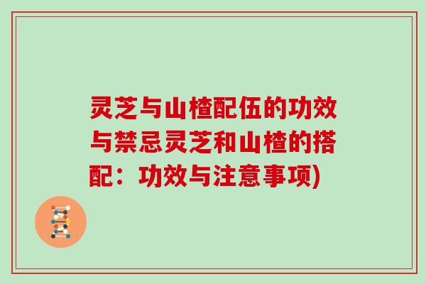 灵芝与山楂配伍的功效与禁忌灵芝和山楂的搭配：功效与注意事项)