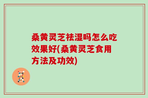 桑黄灵芝祛湿吗怎么吃效果好(桑黄灵芝食用方法及功效)