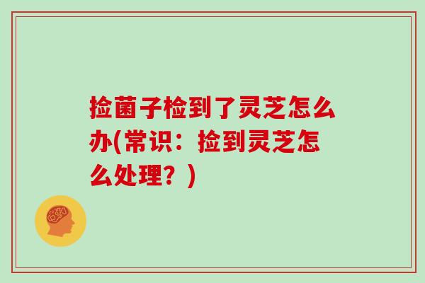 捡菌子检到了灵芝怎么办(常识：捡到灵芝怎么处理？)