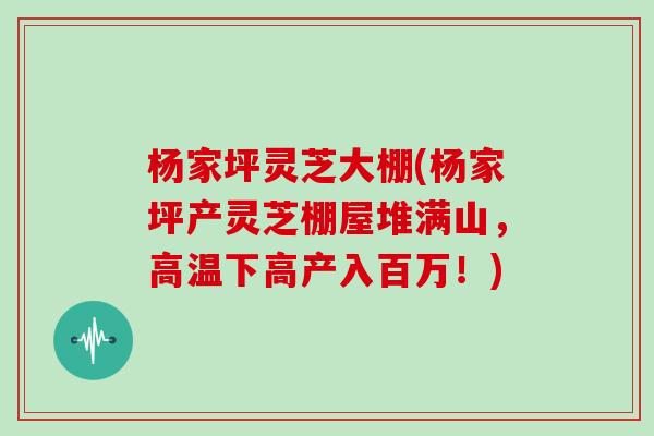 杨家坪灵芝大棚(杨家坪产灵芝棚屋堆满山，高温下高产入百万！)