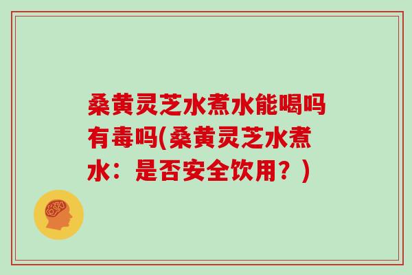 桑黄灵芝水煮水能喝吗有毒吗(桑黄灵芝水煮水:是否安全饮用?)