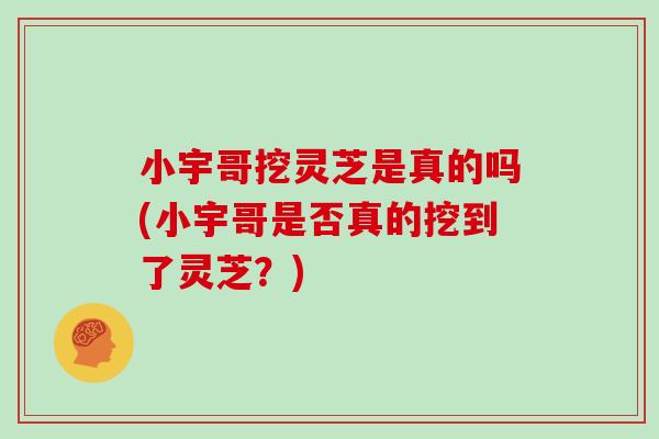 小宇哥挖灵芝是真的吗(小宇哥是否真的挖到了灵芝?)