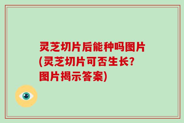 灵芝切片后能种吗图片(灵芝切片可否生长？图片揭示答案)
