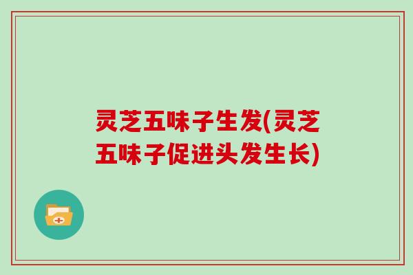 灵芝五味子生发(灵芝五味子促进头发生长)