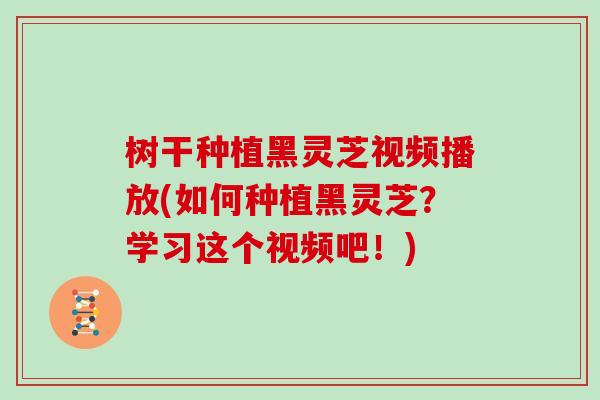 树干种植黑灵芝视频播放(如何种植黑灵芝?学习这个视频吧!)