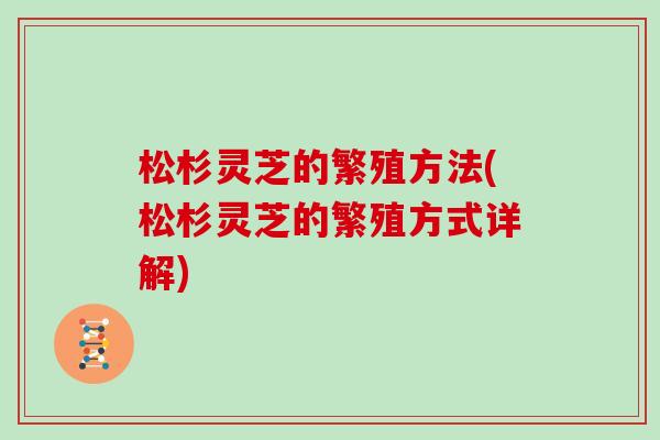 松杉灵芝的繁殖方法(松杉灵芝的繁殖方式详解)