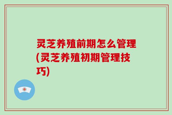灵芝养殖前期怎么管理(灵芝养殖初期管理技巧)
