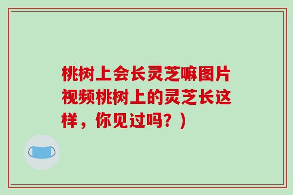 桃树上会长灵芝嘛图片视频桃树上的灵芝长这样,你见过吗?)