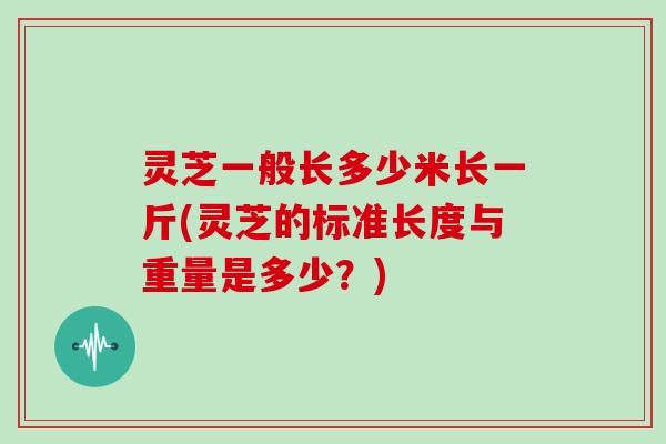 灵芝一般长多少米长一斤(灵芝的标准长度与重量是多少?)