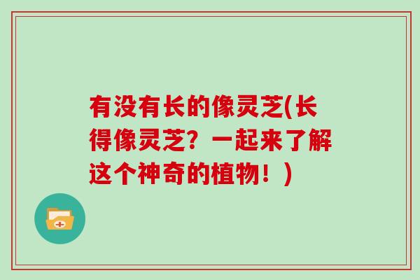 有没有长的像灵芝(长得像灵芝?一起来了解这个神奇的植物!)