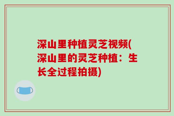 深山里种植灵芝视频(深山里的灵芝种植:生长全过程拍摄)