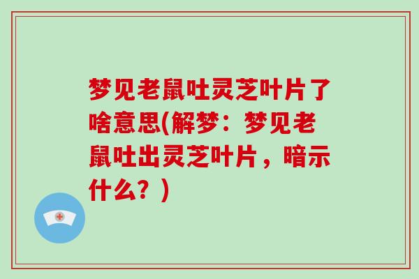 梦见老鼠吐灵芝叶片了啥意思(解梦:梦见老鼠吐出灵芝叶片,暗示什么?)