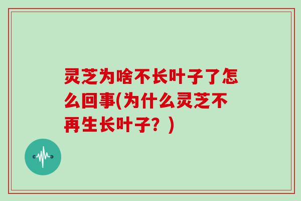 灵芝为啥不长叶子了怎么回事(为什么灵芝不再生长叶子?)