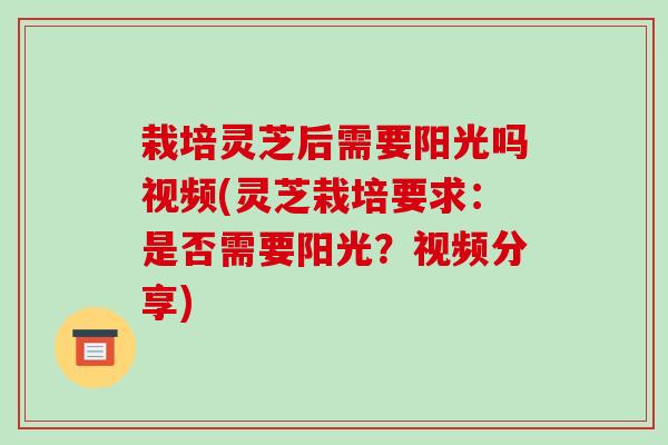 栽培灵芝后需要阳光吗视频(灵芝栽培要求:是否需要阳光?视频分享)