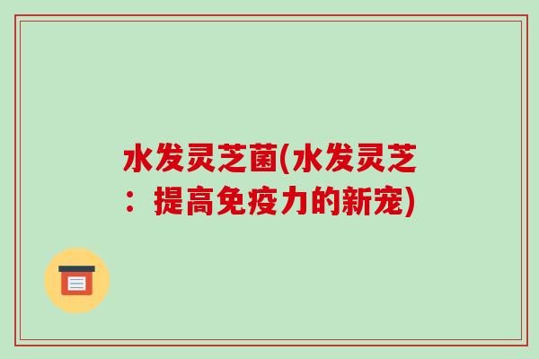 水发灵芝菌(水发灵芝:提高免疫力的新宠)