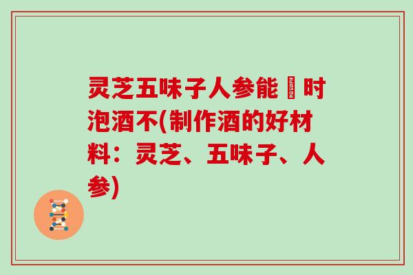 灵芝五味子人参能冋时泡酒不(制作酒的好材料:灵芝、五味子、人参)