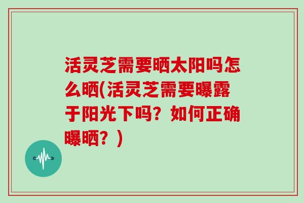 活灵芝需要晒太阳吗怎么晒(活灵芝需要曝露于阳光下吗?如何正确曝晒?)