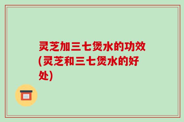 灵芝加三七煲水的功效(灵芝和三七煲水的好处)