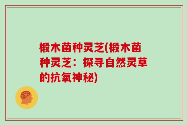 椴木菌种灵芝(椴木菌种灵芝：探寻自然灵草的抗氧神秘)