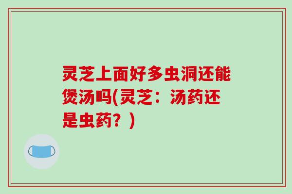 灵芝上面好多虫洞还能煲汤吗(灵芝:汤药还是虫药?)