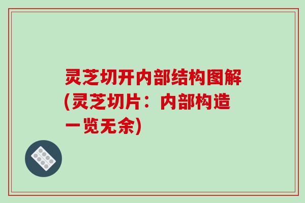 灵芝切开内部结构图解(灵芝切片:内部构造一览无余)