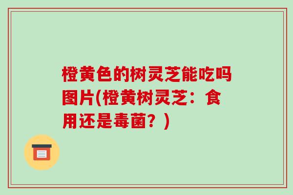 橙黄色的树灵芝能吃吗图片(橙黄树灵芝:食用还是毒菌?)