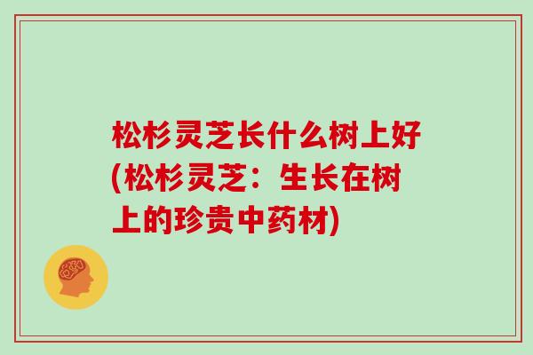 松杉灵芝长什么树上好(松杉灵芝:生长在树上的珍贵中药材)